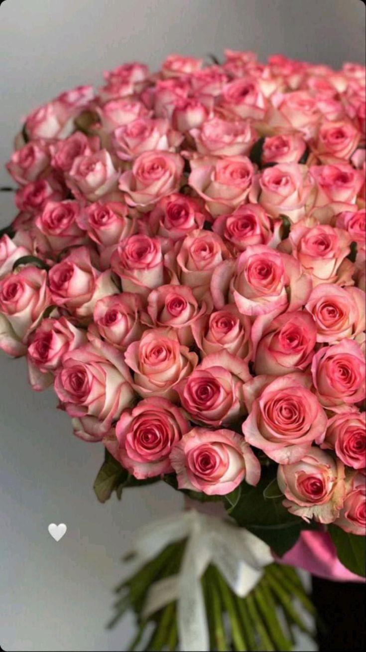 Celestial Dreams Timeless Elegance Blend